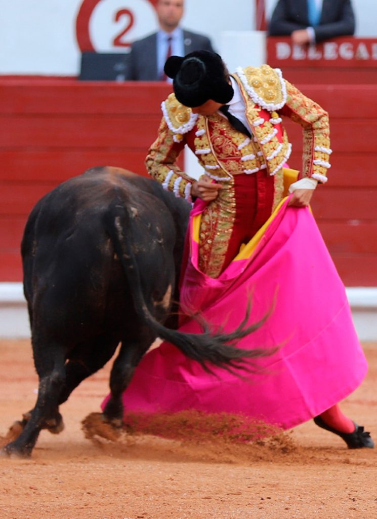 entradas toros Gijón, Plaza de toros El Bibio